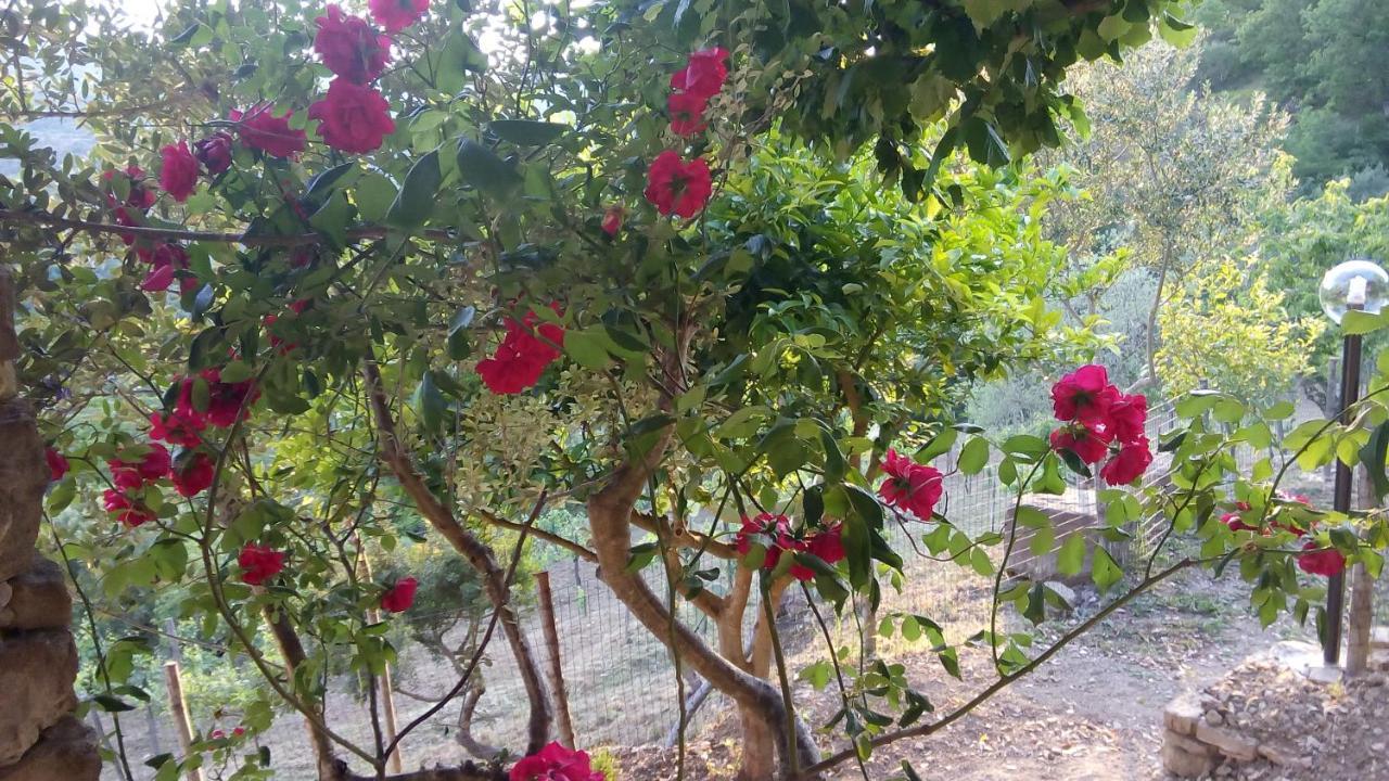 Casale I Cirillo Bed & Breakfast Rutino Exterior photo