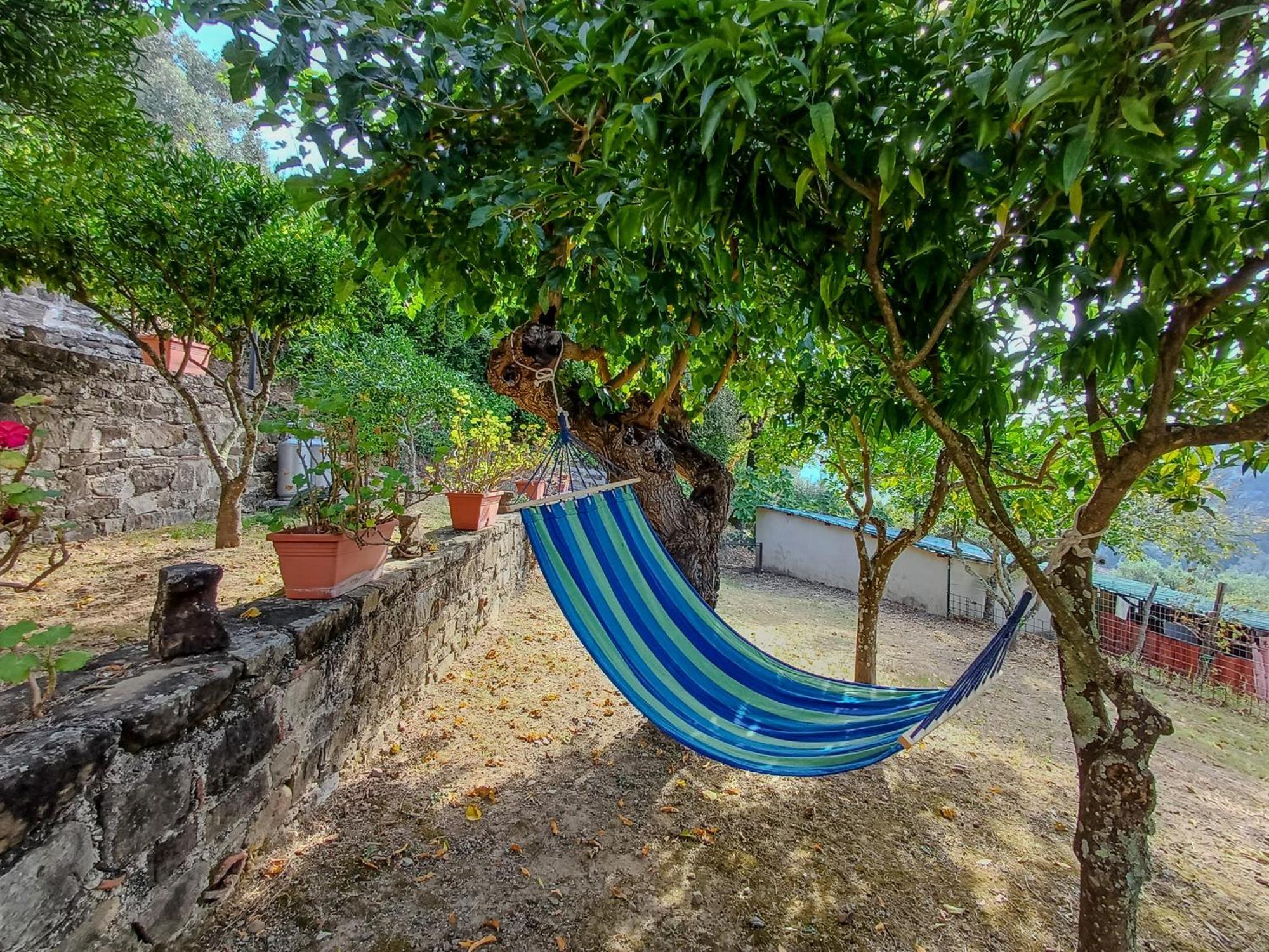 Casale I Cirillo Bed & Breakfast Rutino Exterior photo